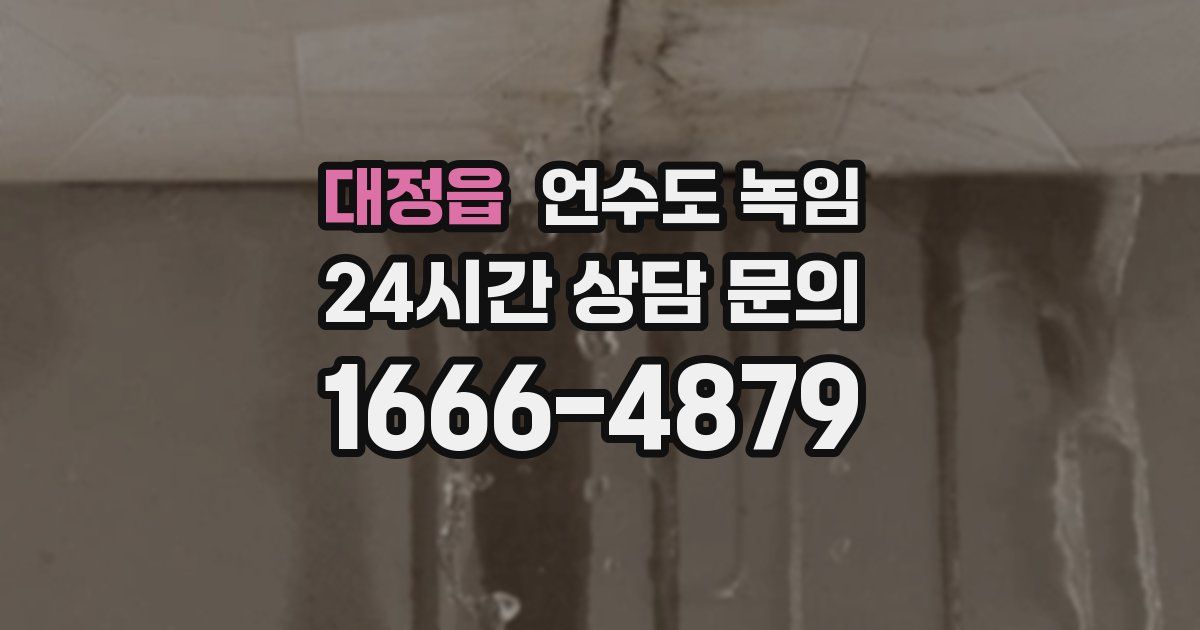 대정읍 언수도 녹임
