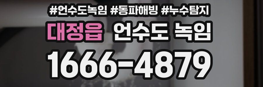 대정읍 언수도 녹임