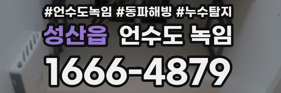 성산읍 언수도 녹임