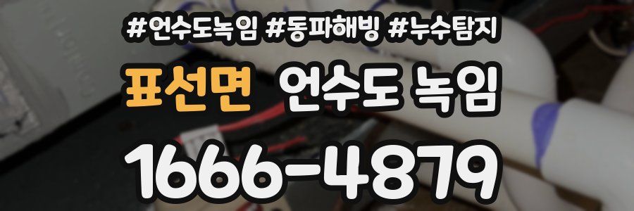 표선면 언수도 녹임