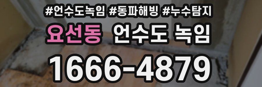 요선동 언수도 녹임