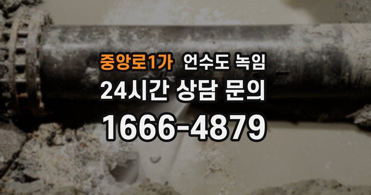 중앙로1가 언수도 녹임
