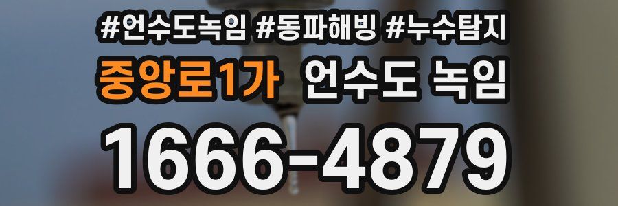 중앙로1가 언수도 녹임