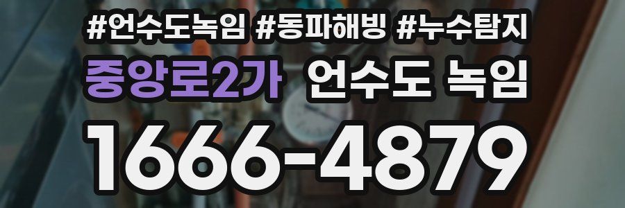 중앙로2가 언수도 녹임
