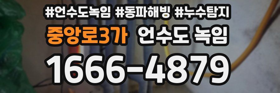 중앙로3가 언수도 녹임