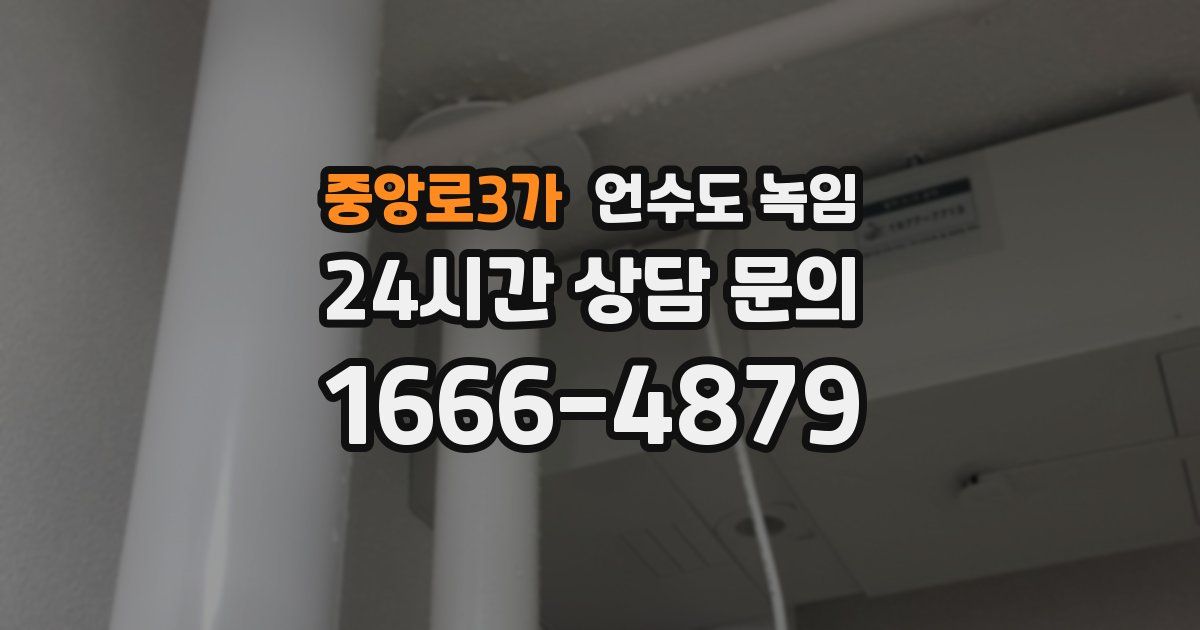 중앙로3가 언수도 녹임