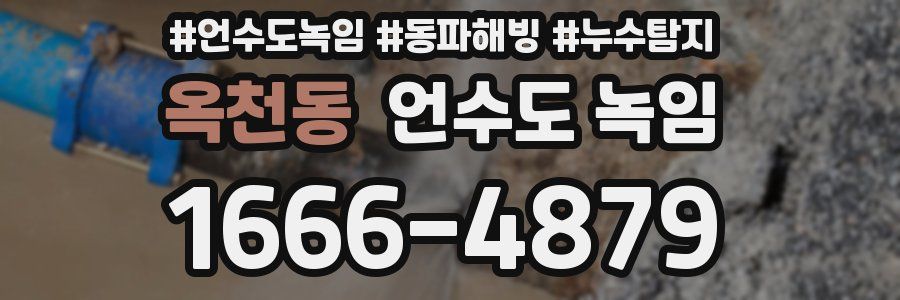 옥천동 언수도 녹임