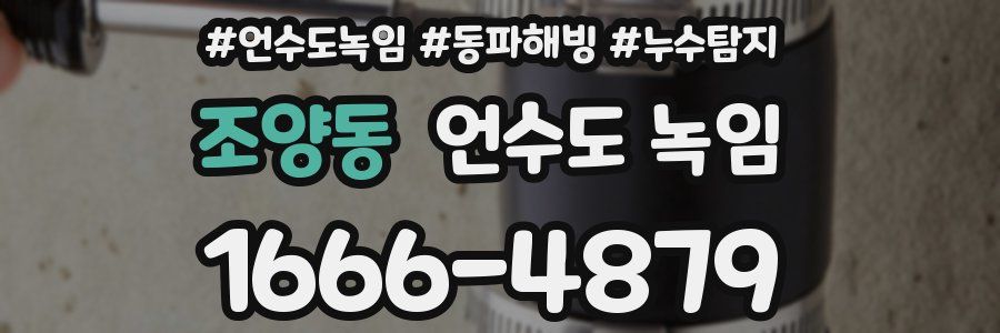 조양동 언수도 녹임