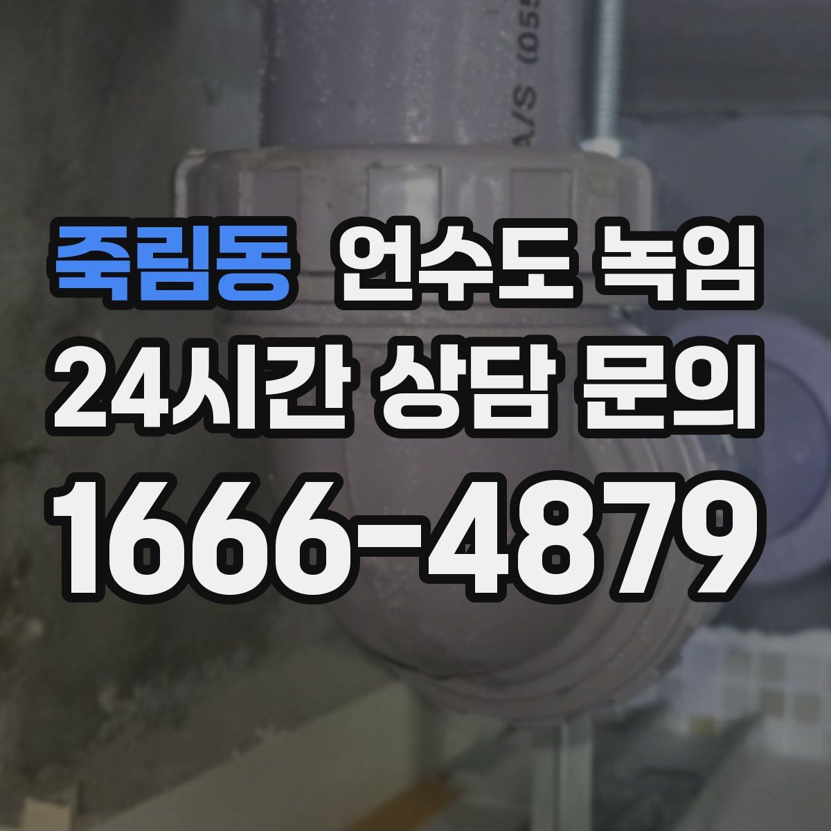 죽림동 언수도 녹임