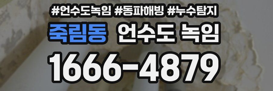 죽림동 언수도 녹임