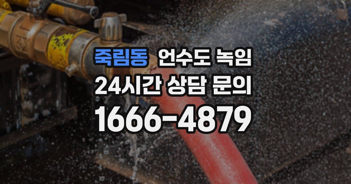 죽림동 언수도 녹임