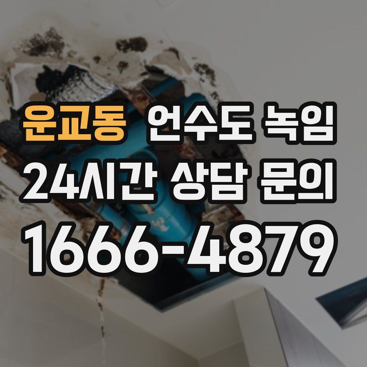 운교동 언수도 녹임 무리한 해빙이 동파로 이어지는 과정