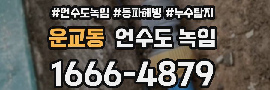 운교동 언수도 녹임