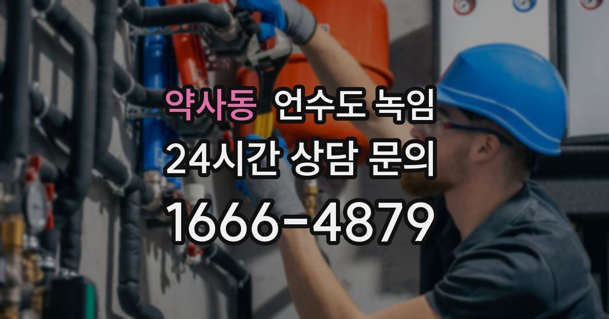 약사동 언수도 녹임