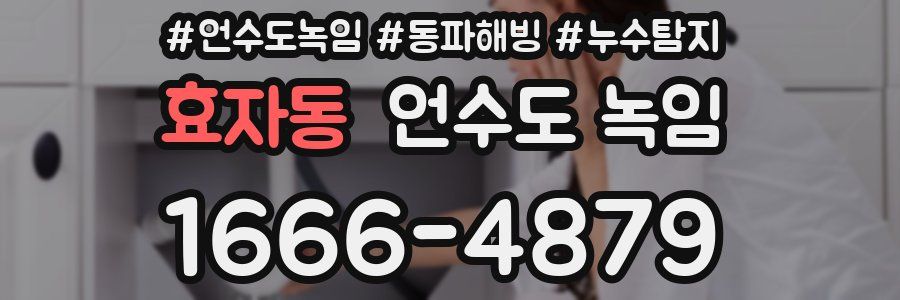 효자동 언수도 녹임