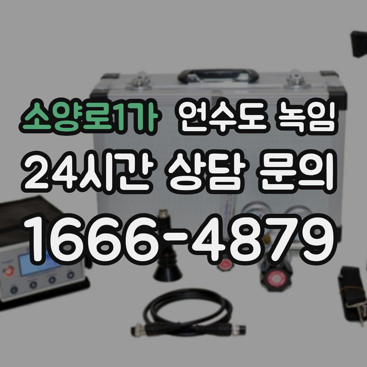 소양로1가 언수도 녹임