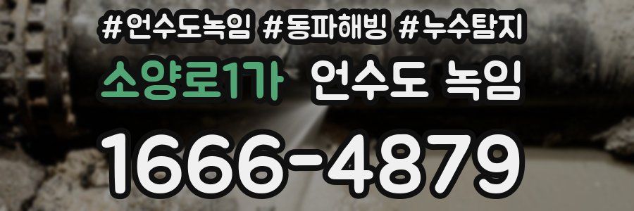 소양로1가 언수도 녹임