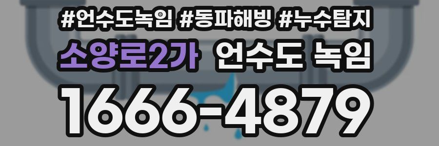 소양로2가 언수도 녹임