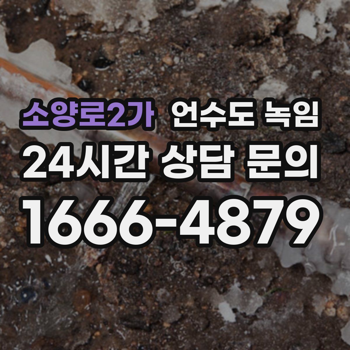 소양로2가 언수도 녹임