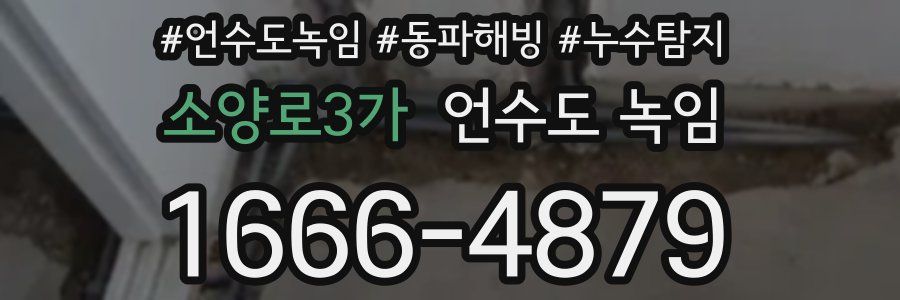 소양로3가 언수도 녹임