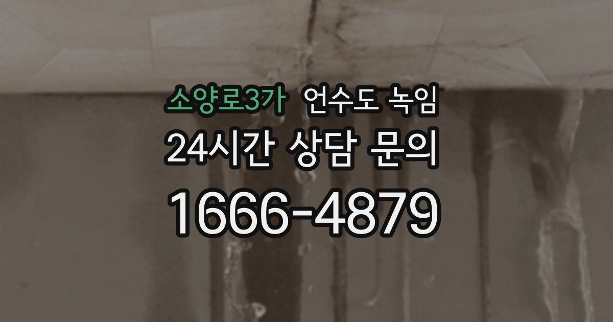 소양로3가 언수도 녹임