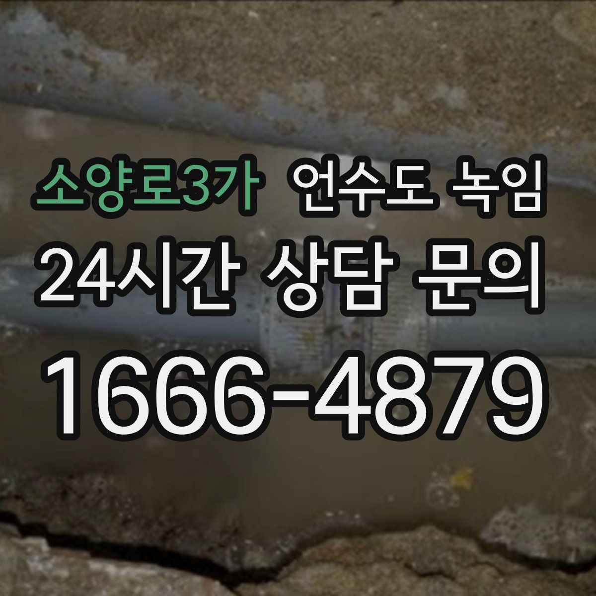 소양로3가 언수도 녹임