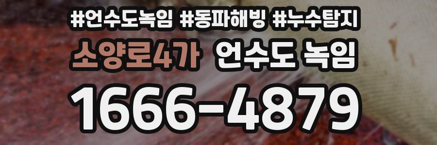 소양로4가 언수도 녹임