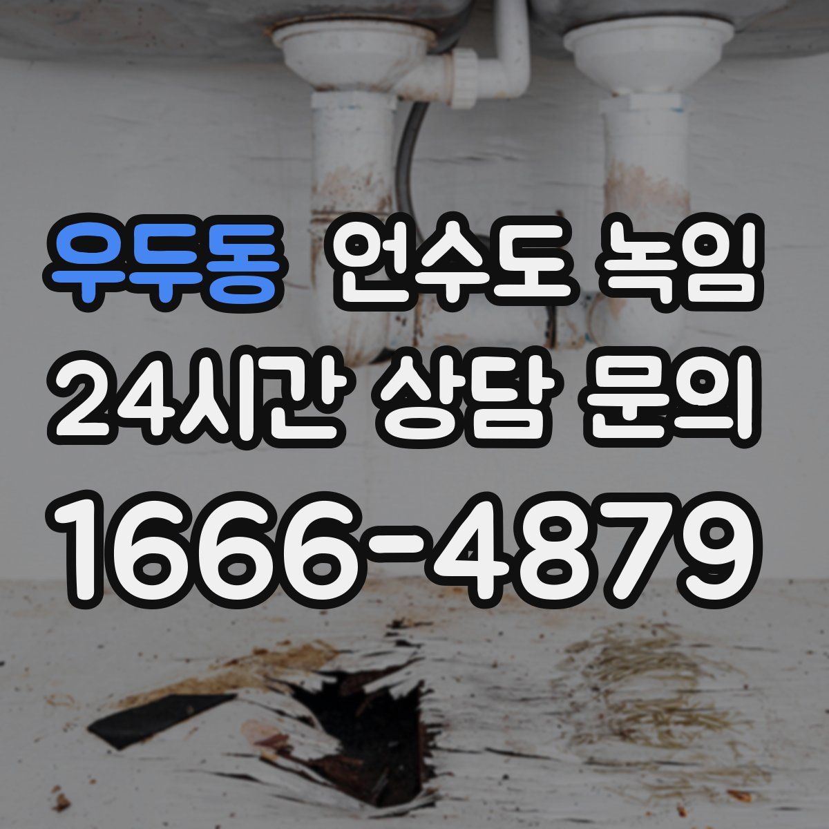 우두동 언수도 녹임
