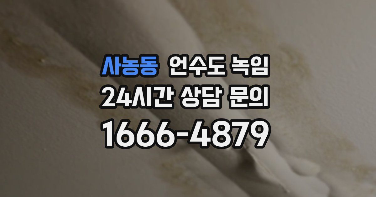 사농동 언수도 녹임