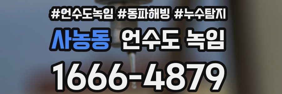 사농동 언수도 녹임