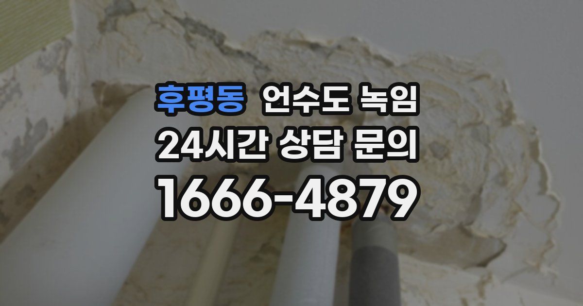 후평동 언수도 녹임