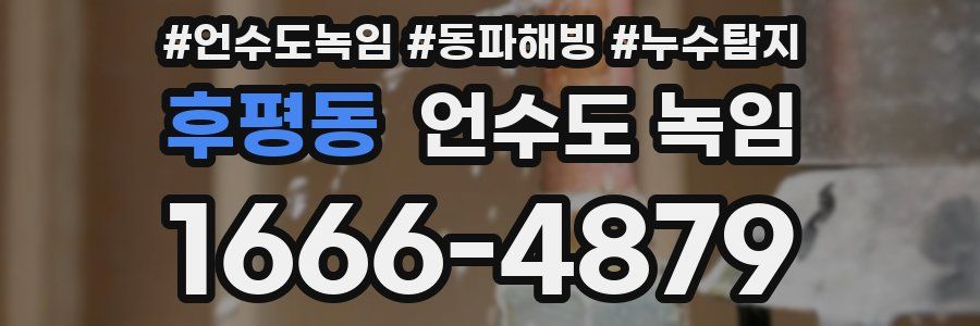 후평동 언수도 녹임