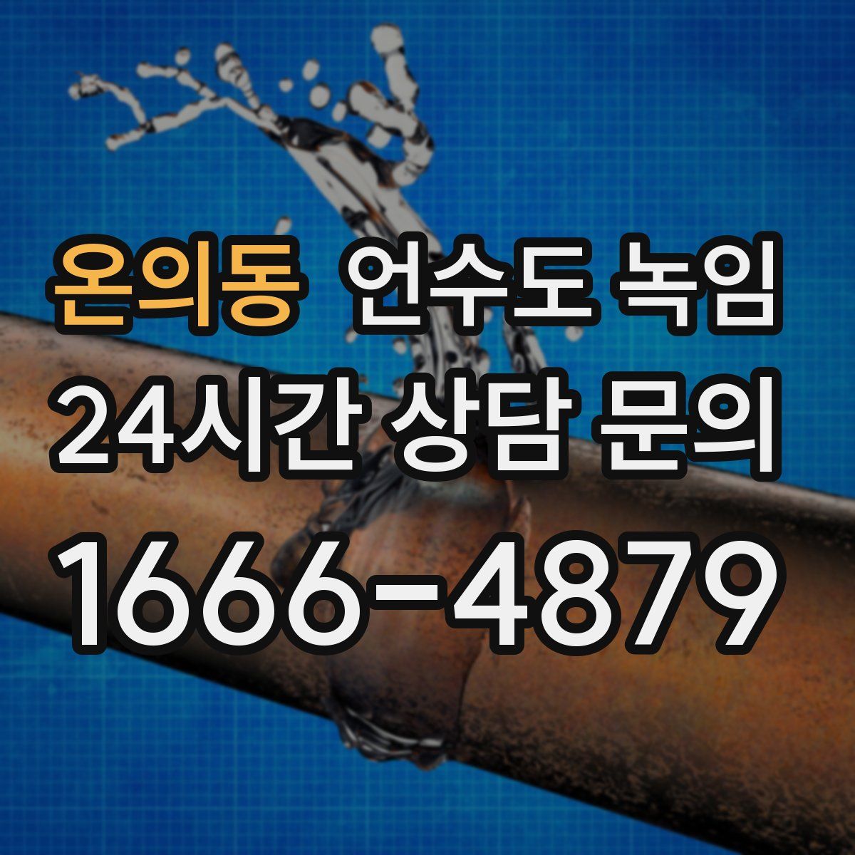온의동 언수도 녹임