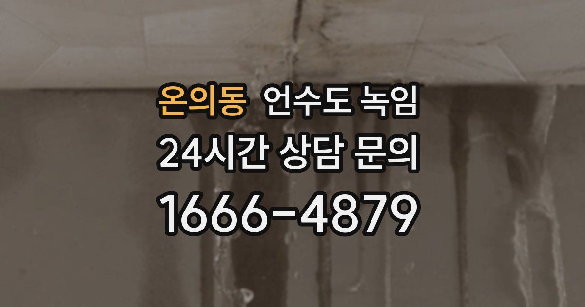 온의동 언수도 녹임