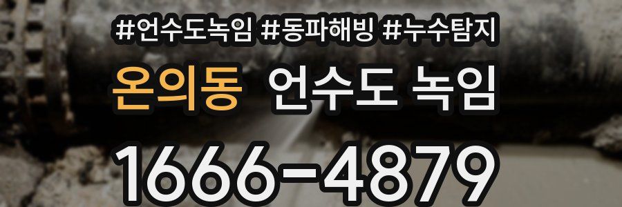 온의동 언수도 녹임