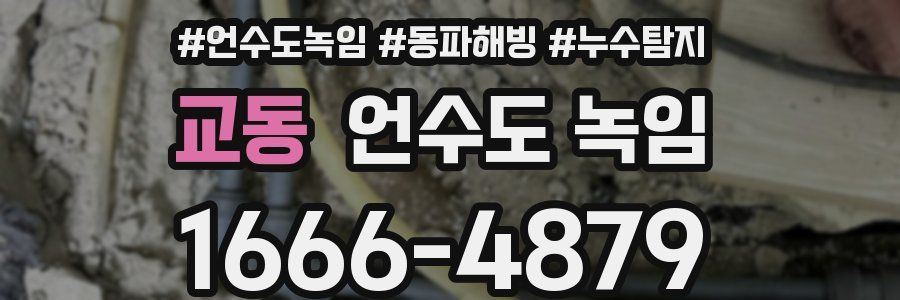 교동 언수도 녹임