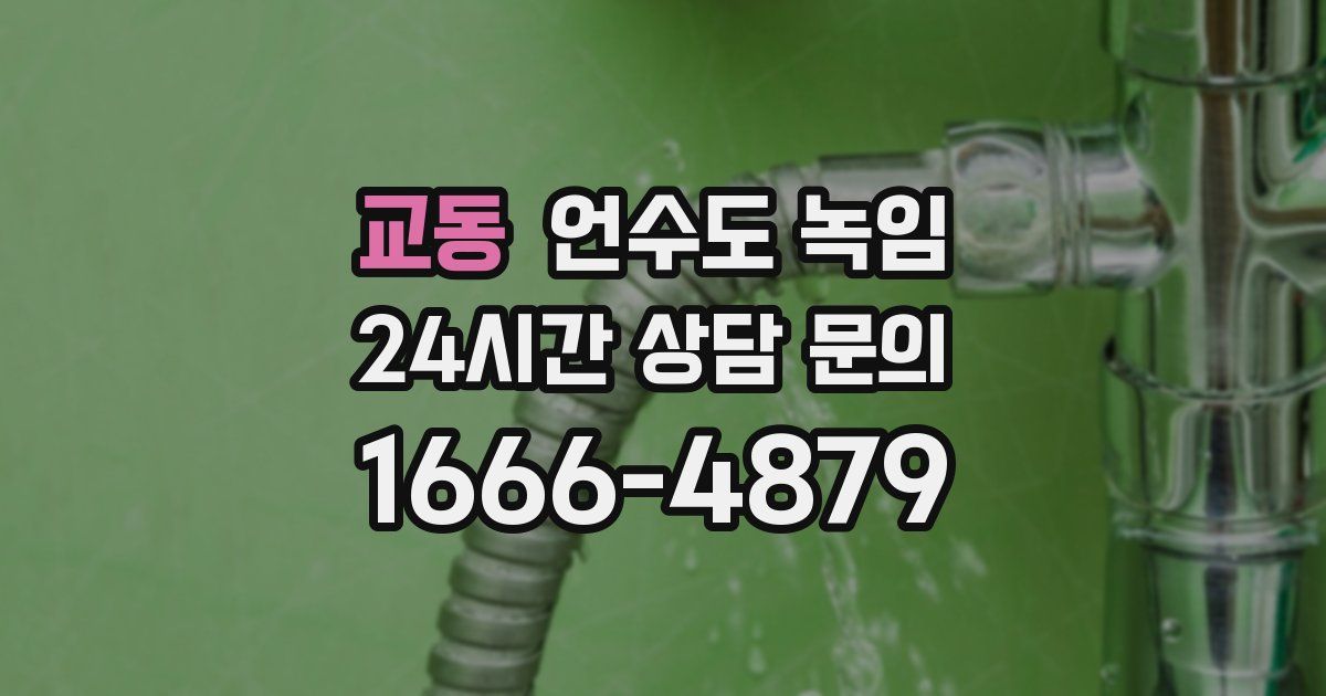 교동 언수도 녹임