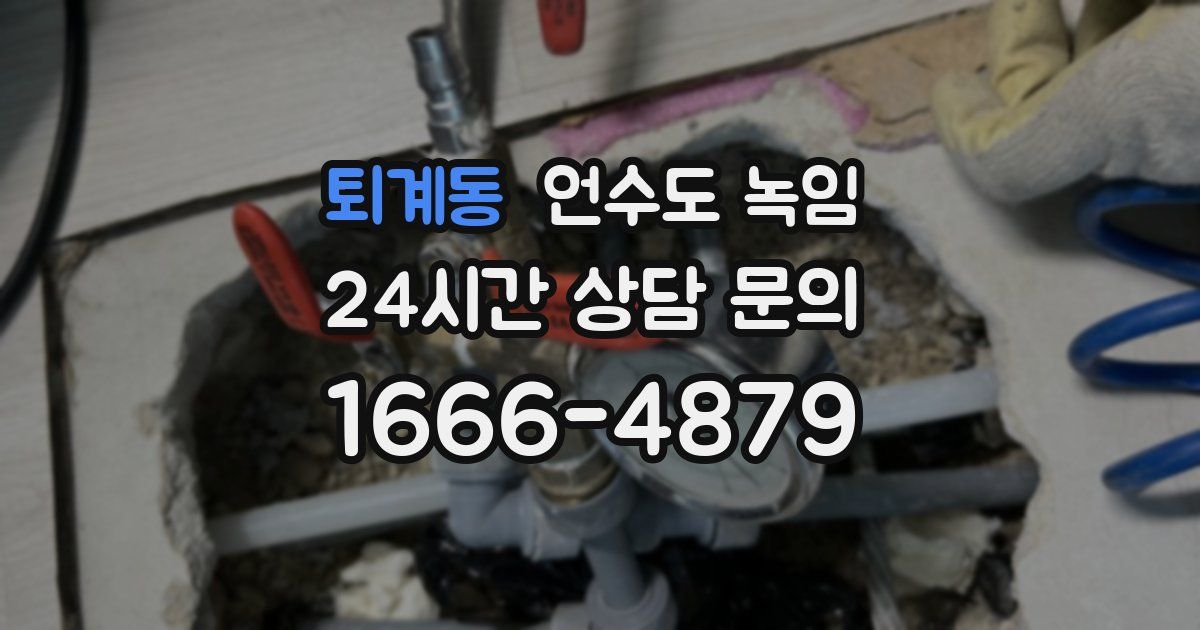 퇴계동 언수도 녹임