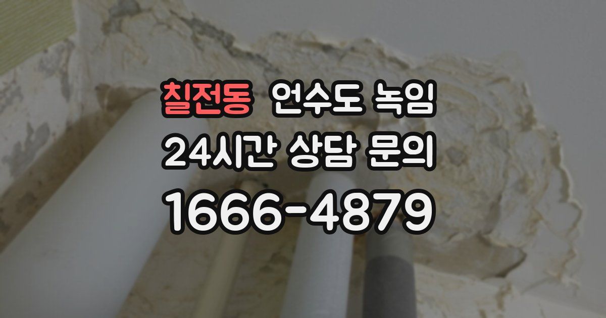 칠전동 언수도 녹임