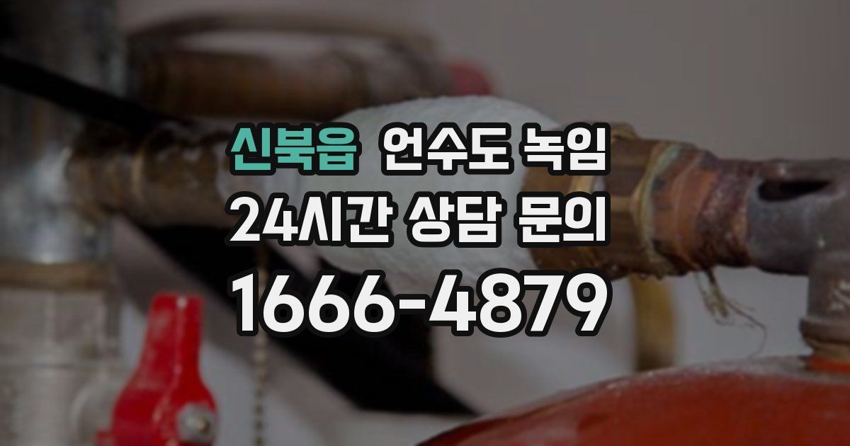 신북읍 언수도 녹임