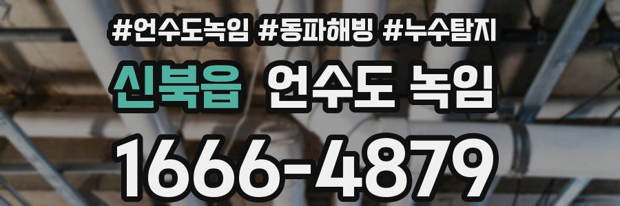 신북읍 언수도 녹임