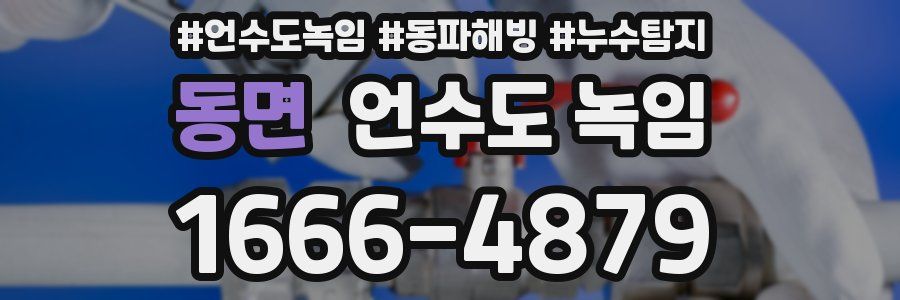 동면 언수도 녹임