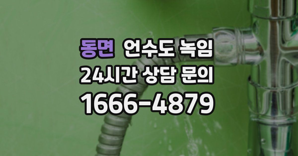 동면 언수도 녹임