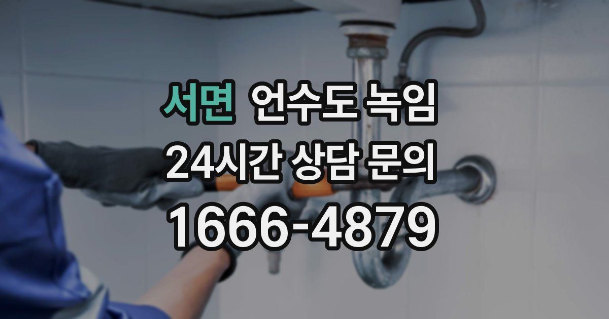 서면 언수도 녹임