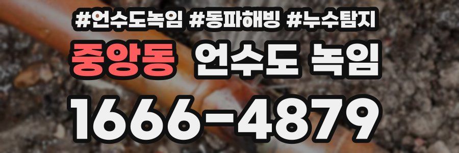 중앙동 언수도 녹임