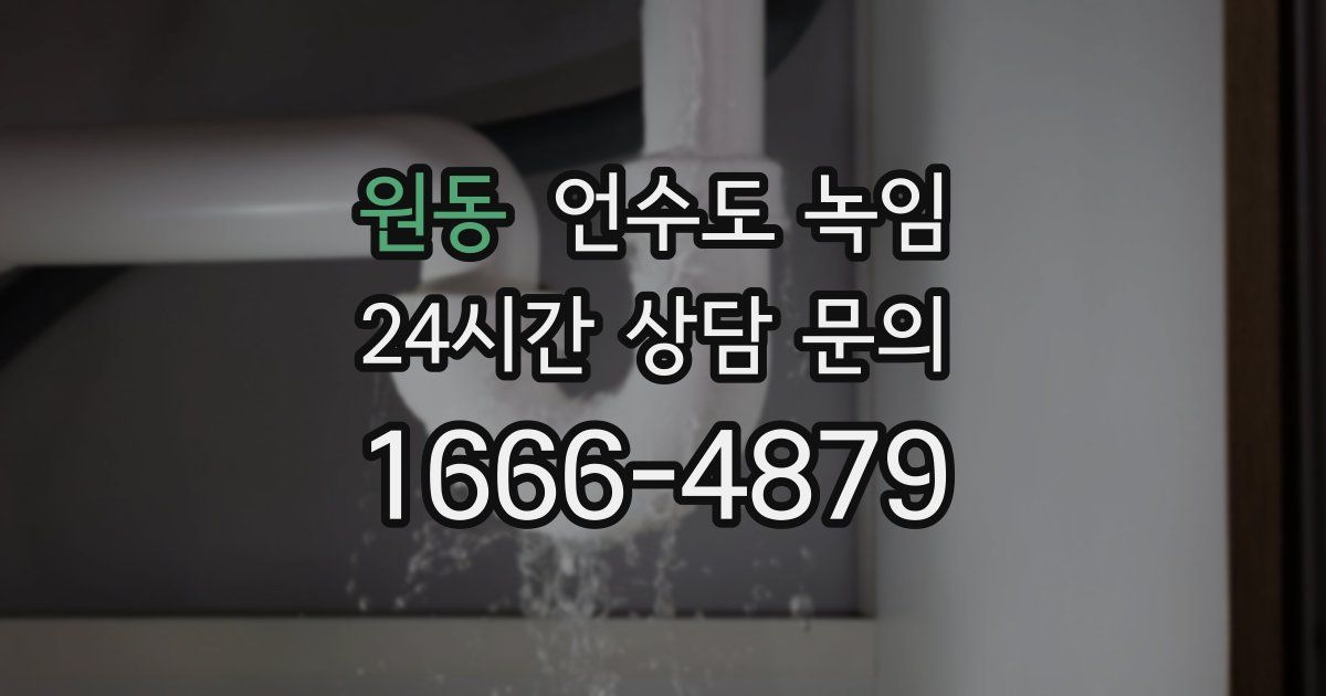 원동 언수도 녹임