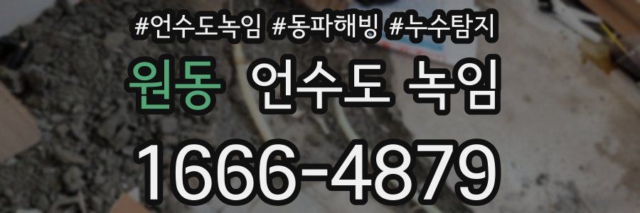 원동 언수도 녹임