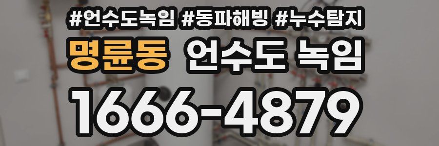 명륜동 언수도 녹임