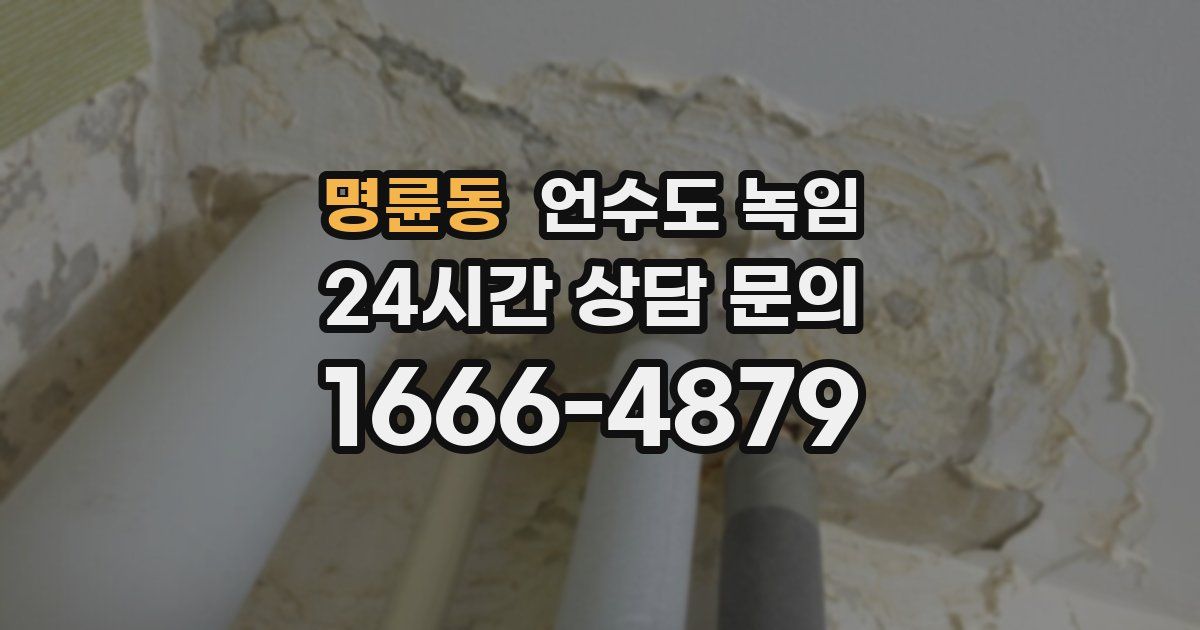 명륜동 언수도 녹임