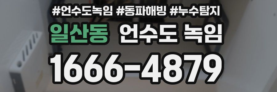 일산동 언수도 녹임